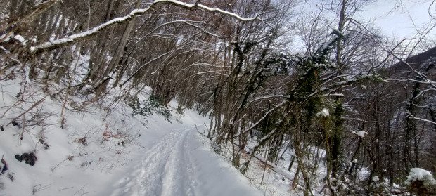 Poudre lourde voire collante mais bien skiante sous la Croix du Nivolet 