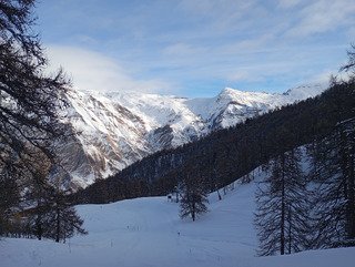 Les absents n'ont pas toujours tord 