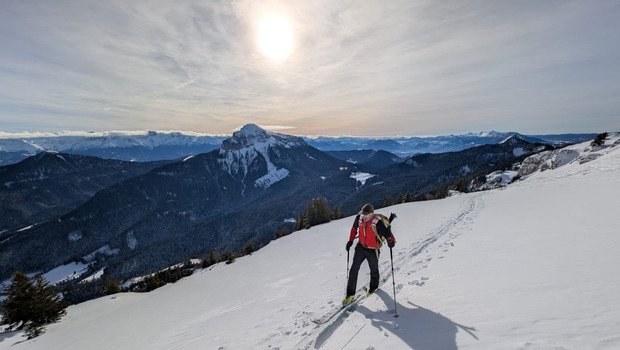 Charmant Som en Chartreuse 
