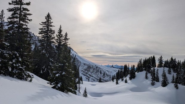 Charmant Som en Chartreuse 