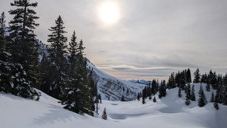 Charmant Som en Chartreuse 