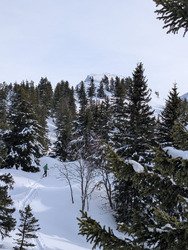 Charmant Som en Chartreuse 