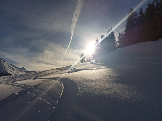 Quand trac&eacute; tout sera, &agrave; pieds tu monteras🤣😅