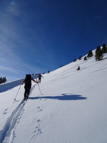 Belle poudre au soleil 