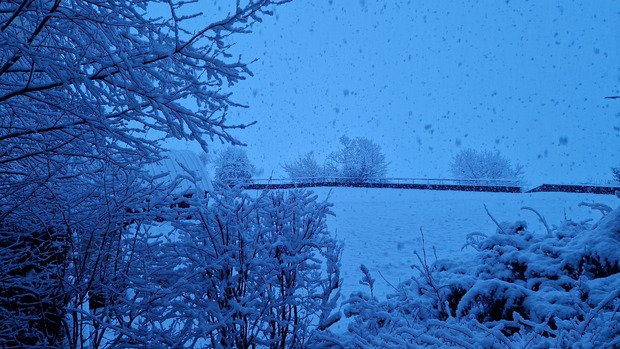 Les jours se suivent mais ne se ressemblent pas 😶&zwj;🌫️😶&zwj;🌫️