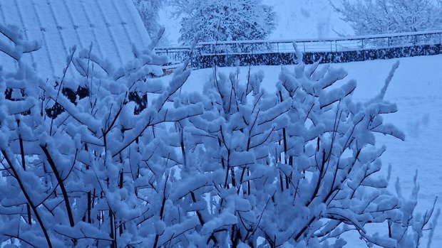 Les jours se suivent mais ne se ressemblent pas 😶&zwj;🌫️😶&zwj;🌫️