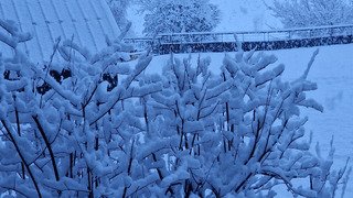 Les jours se suivent mais ne se ressemblent pas 😶&zwj;🌫️😶&zwj;🌫️