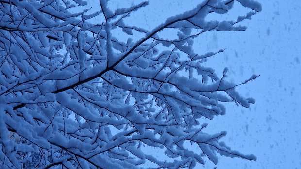 Les jours se suivent mais ne se ressemblent pas 😶&zwj;🌫️😶&zwj;🌫️