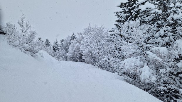 Les jours se suivent mais ne se ressemblent pas 😶&zwj;🌫️😶&zwj;🌫️