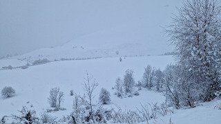 Les jours se suivent mais ne se ressemblent pas 😶&zwj;🌫️😶&zwj;🌫️