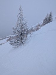 30cm de plaisir, 1300 m&egrave;tres de bonheur : grosse poudreuse &agrave; Puy Saint Vincent 