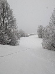 30cm de plaisir, 1300 m&egrave;tres de bonheur : grosse poudreuse &agrave; Puy Saint Vincent 