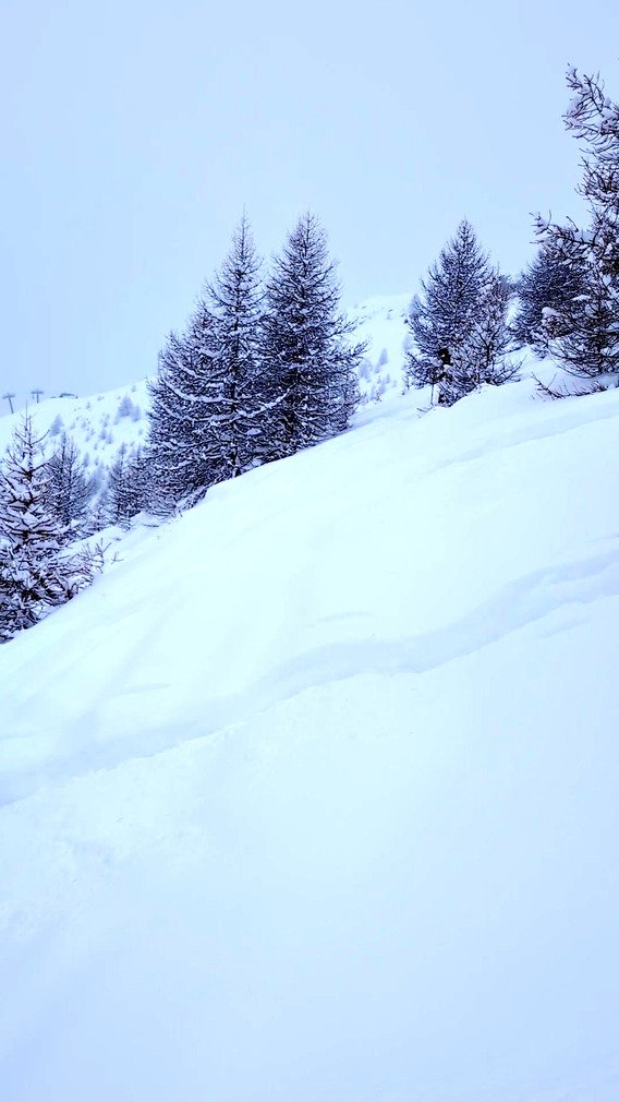 30cm de plaisir, 1300 m&egrave;tres de bonheur : grosse poudreuse &agrave; Puy Saint Vincent 