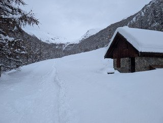 Blanc c'est blanc : tr&egrave;s bonne neige