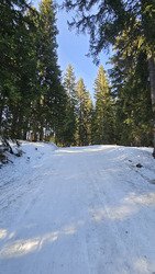 Pause dej a Combloux