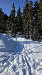 Pause dej a Combloux