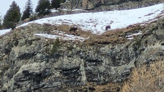 Premi&egrave;re de l ann&eacute;e!