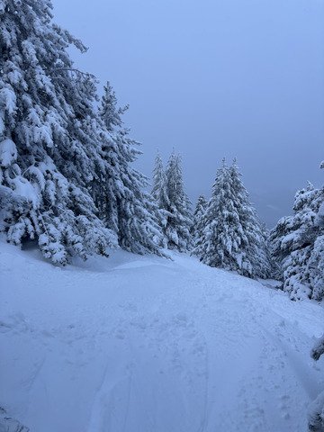 &iexcl;Viva Cerdanya!