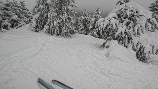 &iexcl;Viva Cerdanya!