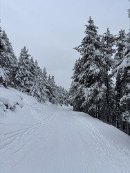 &iexcl;Viva Cerdanya!