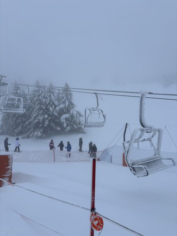 &iexcl;Viva Cerdanya!