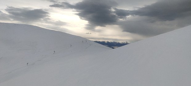 Multiples nuances de neige