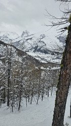 Faceshot en for&ecirc;t !