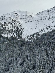 Le temps de tracer et puis s'en va 