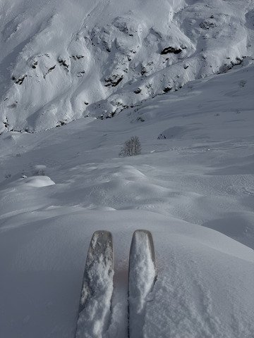 Le mardi fait ce qu&rsquo;il te pla&icirc;t 😃
