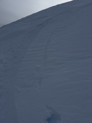 Le mardi fait ce qu&rsquo;il te pla&icirc;t 😃