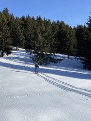 &Ccedil;a cartonne -