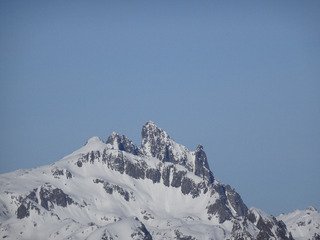 &Ccedil;a cartonne -