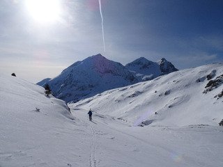 &Ccedil;a cartonne -
