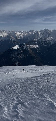 &Ccedil;a cartonne -