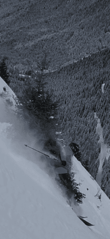 et encore un peu de fraiche !