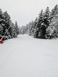 Re poudre dans la nuit...