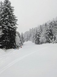 Re poudre dans la nuit...