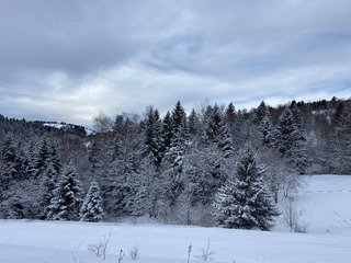 Ce n&rsquo;est pas la quantit&eacute; qui compte, c&rsquo;est la qualit&eacute; ❄️