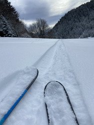Ce n&rsquo;est pas la quantit&eacute; qui compte, c&rsquo;est la qualit&eacute; ❄️