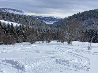 Ce n&rsquo;est pas la quantit&eacute; qui compte, c&rsquo;est la qualit&eacute; ❄️