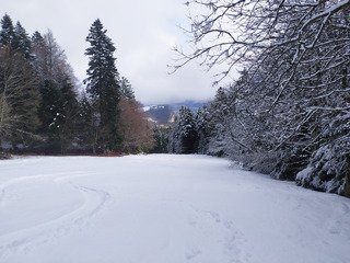 10cm de peuf et 300 de D+ [Hommage]