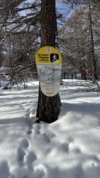 L&rsquo;homme de pierre