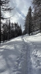 L&rsquo;homme de pierre