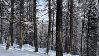 L&rsquo;homme de pierre