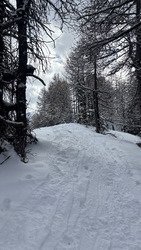 L&rsquo;homme de pierre