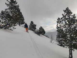 Col de l'Arzelier Revival