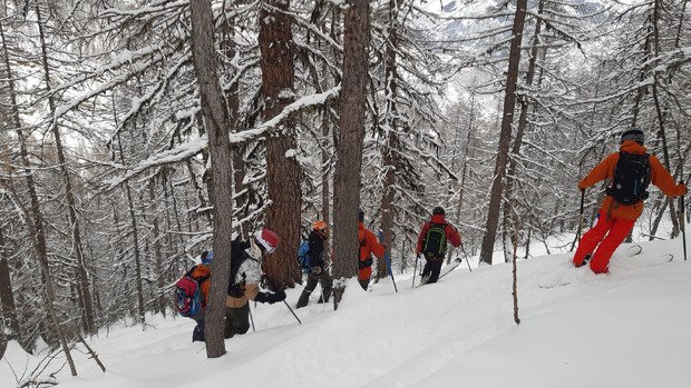 300 D+ max, une matin&eacute;e de cochon 