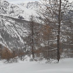 300 D+ max, une matin&eacute;e de cochon 