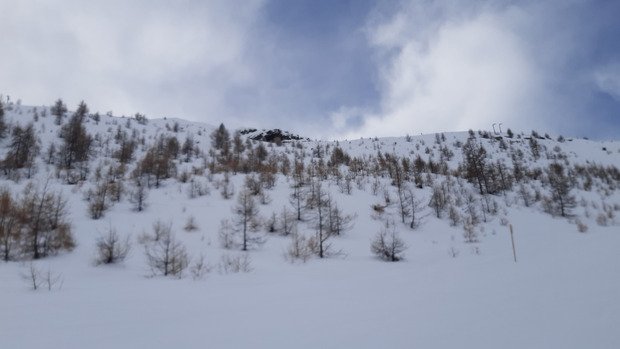 300 D+ max, une matin&eacute;e de cochon 