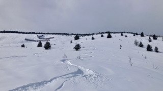 Un chtit peu de Peuff 😜